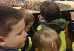 Dzieci oglądają przez szybę krokodyle
